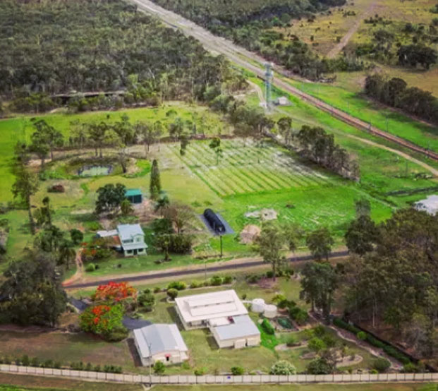 tradewinds plants moringa farm qld Goodwood