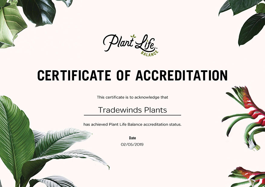 Plant Life Balance Accreditation Tradewinds Plants