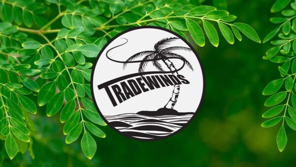 site logo moringa tradewinds south coast pty ltd